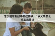 怎么能拿到孩子的抚养权，1岁父亲怎么拿到抚养权