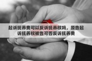 起诉抚养费可以反诉抚养权吗，原告起诉抚养权被告可否反诉抚养费