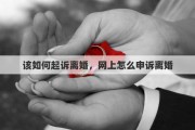 该如何起诉离婚，网上怎么申诉离婚