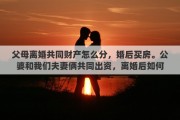父母离婚共同财产怎么分，婚后买房。公婆和我们夫妻俩共同出资，离婚后如何分割