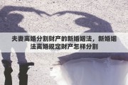 夫妻离婚分割财产的新婚姻法，新婚姻法离婚规定财产怎样分割