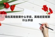 现在离婚需要什么手续，离婚后复婚要什么手续