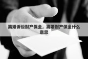 离婚诉讼财产保全，离婚财产保全什么意思