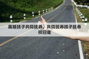 离婚孩子共同抚养，共同抚养孩子抚养权归谁