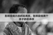怎样得到小孩的抚养权，怎样获得两个孩子的抚养权