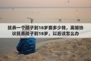 抚养一个孩子到18岁要多少钱，离婚协议抚养孩子到18岁，以后该怎么办