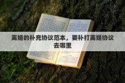 离婚的补充协议范本，要补打离婚协议去哪里
