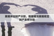 离婚诉讼财产分割，新婚姻法离婚规定财产怎样分割