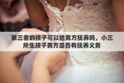 第三者的孩子可以给男方抚养吗，小三所生孩子男方是否有抚养义务