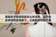 离婚孩子抚养权是怎么判决的，孩子的抚养权判给母亲了，父亲犯罪对孩子有影响吗？有何法律依据