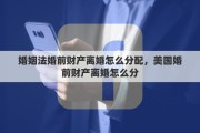 婚姻法婚前财产离婚怎么分配，美国婚前财产离婚怎么分