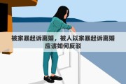 被家暴起诉离婚，被人以家暴起诉离婚应该如何反驳