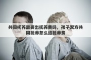 共同抚养需要出抚养费吗，孩子双方共同抚养怎么给抚养费