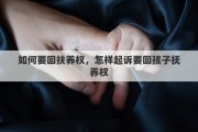 如何要回扶养权，怎样起诉要回孩子抚养权