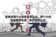离婚后两个小孩抚养怎么分，两个小孩都由男方抚养，家产该怎么分