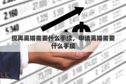 现再离婚需要什么手续，申请离婚需要什么手续