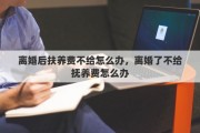 离婚后扶养费不给怎么办，离婚了不给抚养费怎么办