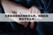夫妻起诉离婚双胞胎怎么判，双胞胎离婚孩子怎么判