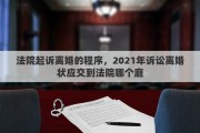 法院起诉离婚的程序，2021年诉讼离婚状应交到法院哪个庭