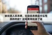 被扶养人抚养费，社会抚养费是什么性质的罚款？这笔费用抚养了谁