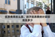 抚养费用怎么算，孩子抚养费的计算标准是多少