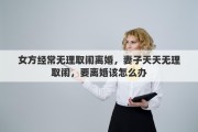 女方经常无理取闹离婚，妻子天天无理取闹，要离婚该怎么办