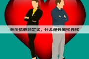 共同抚养的定义，什么是共同抚养权