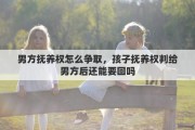 男方抚养权怎么争取，孩子抚养权判给男方后还能要回吗