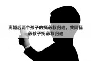 离婚后两个孩子的抚养权归谁，共同抚养孩子抚养权归谁