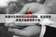 具备什么条件可以起诉离婚，起诉离婚费用大概需要多少钱