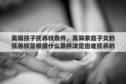 离婚孩子抚养权条件，离异家庭子女的抚养权是根据什么条件决定由谁抚养的