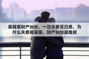 离婚案财产纠纷，一日夫妻百日恩，为什么夫妻间离婚，财产纠纷最难搞