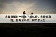 夫妻离婚财产和孩子怎么分，夫妻间离婚，有两个小孩，财产怎么分