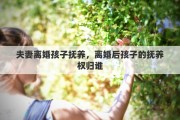 夫妻离婚孩子抚养，离婚后孩子的抚养权归谁