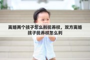 离婚两个孩子怎么判抚养权，双方离婚孩子抚养权怎么判
