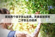 离婚两个孩子怎么抚养，夫妻离婚育有二子怎么办抚养