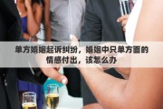 单方婚姻起诉纠纷，婚姻中只单方面的情感付出，该怎么办