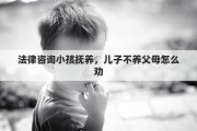 法律咨询小孩抚养，儿子不养父母怎么劝