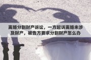 离婚分割财产诉讼，一方起诉离婚未涉及财产，被告方要求分割财产怎么办