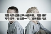 离婚共同抚养孩子的抚养费，离婚时有两个孩子，各抚养一个，抚养费如何支付