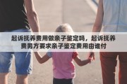 起诉抚养费用做亲子鉴定吗，起诉抚养费男方要求亲子鉴定费用由谁付