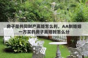 房子是共同财产离婚怎么判，AA制婚姻一方买的房子离婚时怎么分
