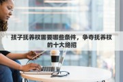 孩子抚养权需要哪些条件，争夺抚养权的十大绝招