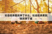 社会抚养费抚养了什么，社会抚养费到底扶养了谁