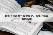 私生子抚养费一般要多少，私生子抚养费的标准