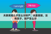 夫妻离婚儿子怎么分财产，夫妻离婚，没有孩子，财产怎么分
