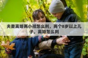 夫妻离婚两小孩怎么判，两个8岁以上儿子，离婚怎么判