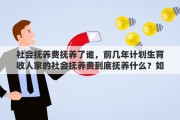 社会抚养费抚养了谁，前几年计划生育收人家的社会抚养费到底抚养什么？如何退