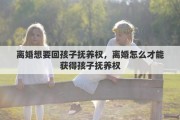 离婚想要回孩子抚养权，离婚怎么才能获得孩子抚养权
