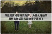 凤凰男离婚想分我财产，为什么好些凤凰男到最后都和原配妻子离婚了